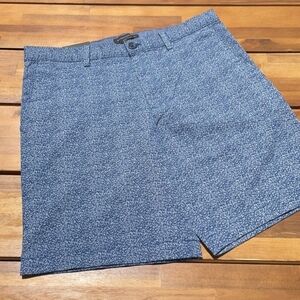Banana Republic Blue Aiden Shorts